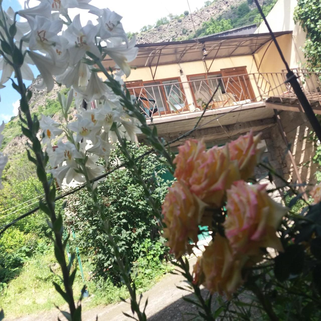 Iris B&B In Debed Canyon Alaverdi Exterior photo